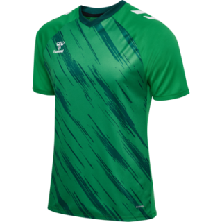 hmlMATCH TRIUMPH JERSEY S/S
